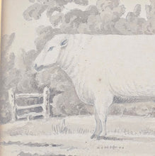 Load image into Gallery viewer, very-nice-folk art-wash-painting-yearling-ram within-rural-landscape-inscribed-mr-thorpe-1-year-bottom-right-fore-ground-field-ram-mid-ground-stile-field-boundary-sheep-eating-foliage-trees-18th-early-19th-century-naïve-quality-very-good-condition-framed-faux-bois-frame-gilt-slip-for-sale-damon-blandford-antiques-stow-on-the-wold-cotswolds-wall-art