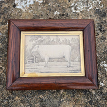 Load image into Gallery viewer, very-nice-folk art-wash-painting-yearling-ram within-rural-landscape-inscribed-mr-thorpe-1-year-bottom-right-fore-ground-field-ram-mid-ground-stile-field-boundary-sheep-eating-foliage-trees-18th-early-19th-century-naïve-quality-very-good-condition-framed-faux-bois-frame-gilt-slip-for-sale-damon-blandford-antiques-stow-on-the-wold-cotswolds-wall-art