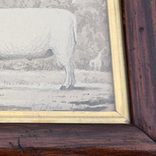 Load image into Gallery viewer, very-nice-folk art-wash-painting-yearling-ram within-rural-landscape-inscribed-mr-thorpe-1-year-bottom-right-fore-ground-field-ram-mid-ground-stile-field-boundary-sheep-eating-foliage-trees-18th-early-19th-century-naïve-quality-very-good-condition-framed-faux-bois-frame-gilt-slip-for-sale-damon-blandford-antiques-stow-on-the-wold-cotswolds-wall-art