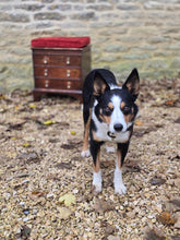 Load image into Gallery viewer, really-good-18th-century-early-oak-log-bin-small-faux-chest-three-drawers-moulded-lift-up-top-fitted-interior-removable-zinc-storage-bin-original-brass-drop-handles-bracket-feet-excellent-condition-good-colour-wear-velvet-seat-pad-informal-fireside-seat-for-sale-stow-on-the-wold-damon-blandford-antiques-cotswolds