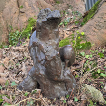 Load image into Gallery viewer, ornithological-bird-interest-well-cast-19th-century-european-painted-bronze-woodpeckers-stump-branch-tree-sculptor-natural-poise-foraging-tails-gaze-intently-focused-well-proportioned-life-size-bronze-excellent-condition-for-sale-damon-blandford-antiques-cotswolds