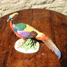 Load image into Gallery viewer, superb-porcelain-pheasant-1:2-scale-modelled-on-mature-golden-pheasant-alert-upright-natural-pose-beautifully-painted-porcelain-mottled-tail-feathers-particularly-well-painted-marked-to-underside-base-letter-M-possibly-KPM Berlin-germany-for-sale-damon-blandford-antiques-stroud-stow-on-the-wold-cotswolds-interior-decoration-ceramic-pottery