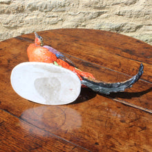 Load image into Gallery viewer, superb-porcelain-pheasant-1:2-scale-modelled-on-mature-golden-pheasant-alert-upright-natural-pose-beautifully-painted-porcelain-mottled-tail-feathers-particularly-well-painted-marked-to-underside-base-letter-M-possibly-KPM Berlin-germany-for-sale-damon-blandford-antiques-stroud-stow-on-the-wold-cotswolds-interior-decoration-ceramic-pottery