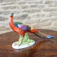 Load image into Gallery viewer, superb-porcelain-pheasant-1:2-scale-modelled-on-mature-golden-pheasant-alert-upright-natural-pose-beautifully-painted-porcelain-mottled-tail-feathers-particularly-well-painted-marked-to-underside-base-letter-M-possibly-KPM Berlin-germany-for-sale-damon-blandford-antiques-stroud-stow-on-the-wold-cotswolds-interior-decoration-ceramic-pottery
