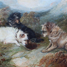 Load image into Gallery viewer, very-fine-oil-on-canvas-painting-three-terriers-rabbiting-highland-landscape-gilt-frame-dogs-expressions-terriers-faces-rabbit-hole-wonderful-George-Armfield-exceptional-hand-terriers-framed-dried-bracken-foreground-hills-in-distance-painting-excellent-use-of-light-for-sale-damon-blandford-antiques-art-stow-on-the-wold-stroud-cotswolds