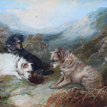 Load image into Gallery viewer, very-fine-oil-on-canvas-painting-three-terriers-rabbiting-highland-landscape-gilt-frame-dogs-expressions-terriers-faces-rabbit-hole-wonderful-George-Armfield-exceptional-hand-terriers-framed-dried-bracken-foreground-hills-in-distance-painting-excellent-use-of-light-for-sale-damon-blandford-antiques-art-stow-on-the-wold-stroud-cotswolds