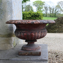 Load image into Gallery viewer, heavy-cast-iron-tazza-shaped-urn-fine-quality-fluted-body-heavy-square-pedestal-base-egg-dart-decoration-rim-wider-form-classical-shaped-urn-planter-beautifully-time-worn-finish-remnants-old-grey-red-paint-faded-pink-attractive-equally-well-suited-use-indoors-out-excellent-condition-english-circa-1860-damon-blandford-antiques-garden-decorative-home-for-sale-stroud-gloucestershire