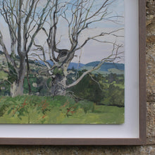 Load image into Gallery viewer, Acrylic-painting-view-over-painswick-painted-juniper-hill-properties-hillside-stamages-lane-st-mary's-church-horizon-middle-ground-village-framed-dead-elms-for-ground-distance-popes-wood-saltridge-woods-sheepscombe-moment-in-time-beautifully-captured-acrylic-watercolour-highly-accomplished-landscape-artist-allen-laycock-signed-dated-27th-july-1979-bottom-right-painted-in-situ-one-sitting-float-mounted-bespoke-ash-wash-feel-wall-art-for-sale-damon-blandford-antiques-stroud-gloucestershire-queen-cotswolds