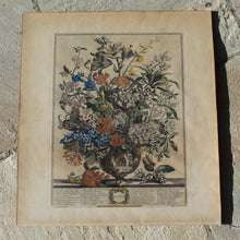 Load image into Gallery viewer, Original-williamsburg-restoration-hand-tinted-print-original-painting-peter-casteels-copper-engraving-by-henry-fletcher-works-commissioned by-robert-furber-market-gardener-kensington-series-paintings-twelve-months-of-flowers-urn-of-flowers-furber-nursery-seasonal-best-numbered-referenced-within-engraving-dated-1730-excellent-condition-colour-framed-good-quality-ebonised-parcel-gilt-frame-new-mount-board-wall-art-damon-blandford-antiques