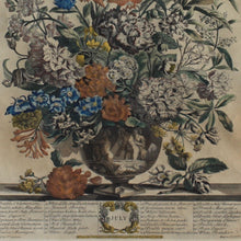 Load image into Gallery viewer, Original-williamsburg-restoration-hand-tinted-print-original-painting-peter-casteels-copper-engraving-by-henry-fletcher-works-commissioned by-robert-furber-market-gardener-kensington-series-paintings-twelve-months-of-flowers-urn-of-flowers-furber-nursery-seasonal-best-numbered-referenced-within-engraving-dated-1730-excellent-condition-colour-framed-good-quality-ebonised-parcel-gilt-frame-new-mount-board-wall-art-damon-blandford-antiques