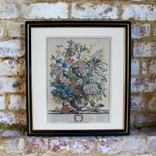 Load image into Gallery viewer, Original-williamsburg-restoration-hand-tinted-print-original-painting-peter-casteels-copper-engraving-by-henry-fletcher-works-commissioned by-robert-furber-market-gardener-kensington-series-paintings-twelve-months-of-flowers-urn-of-flowers-furber-nursery-seasonal-best-numbered-referenced-within-engraving-dated-1730-excellent-condition-colour-framed-good-quality-ebonised-parcel-gilt-frame-new-mount-board-wall-art-damon-blandford-antiques