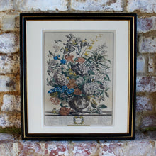 Load image into Gallery viewer, Original-williamsburg-restoration-hand-tinted-print-original-painting-peter-casteels-copper-engraving-by-henry-fletcher-works-commissioned by-robert-furber-market-gardener-kensington-series-paintings-twelve-months-of-flowers-urn-of-flowers-furber-nursery-seasonal-best-numbered-referenced-within-engraving-dated-1730-excellent-condition-colour-framed-good-quality-ebonised-parcel-gilt-frame-new-mount-board-wall-art-damon-blandford-antiques