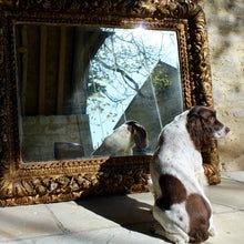 Load image into Gallery viewer, spanish-camino-santiago-italian- renaissance- frame-garland-fruit-foliage-carved-deep-relief-pomegranate-grape-vine-acanthus-mirror-gloucestershire-cotswold-antique-spaniel