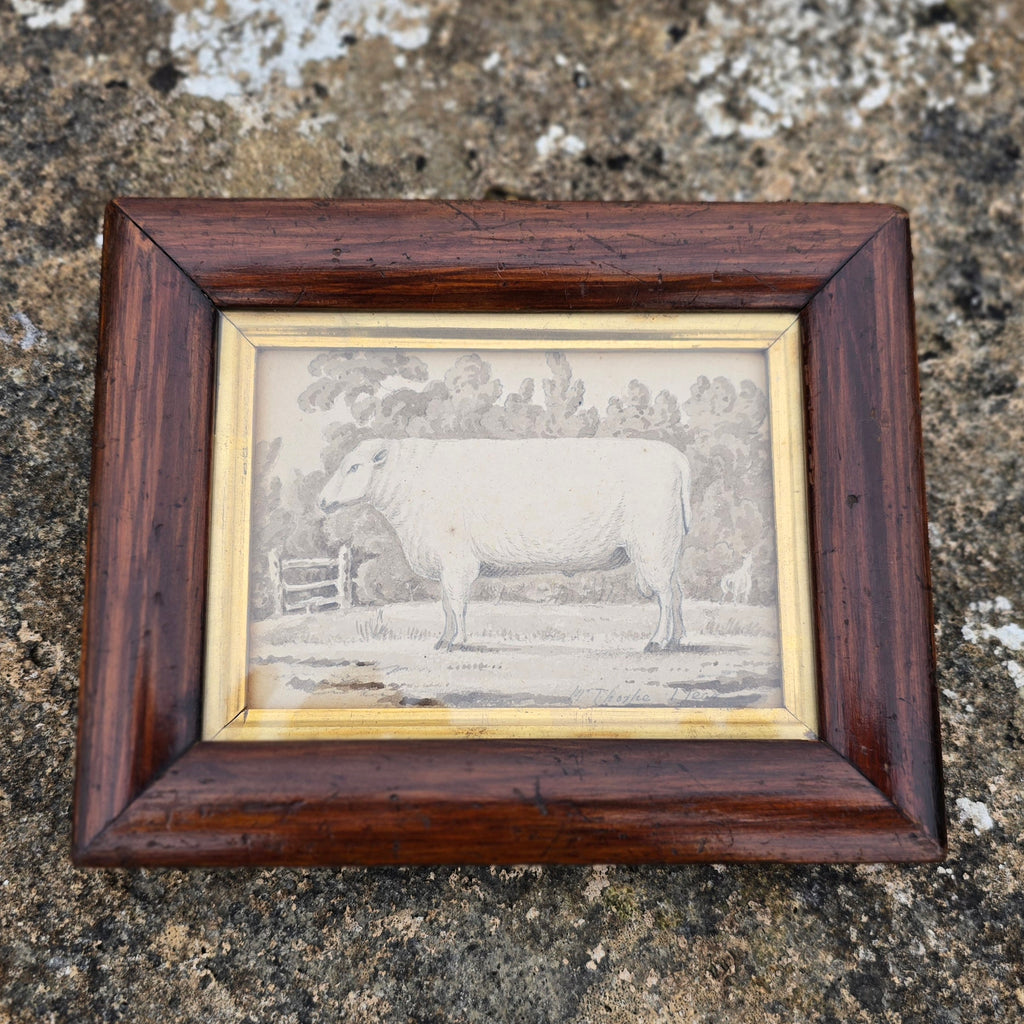 very-nice-folk art-wash-painting-yearling-ram within-rural-landscape-inscribed-mr-thorpe-1-year-bottom-right-fore-ground-field-ram-mid-ground-stile-field-boundary-sheep-eating-foliage-trees-18th-early-19th-century-naïve-quality-very-good-condition-framed-faux-bois-frame-gilt-slip-for-sale-damon-blandford-antiques-stow-on-the-wold-cotswolds-wall-art