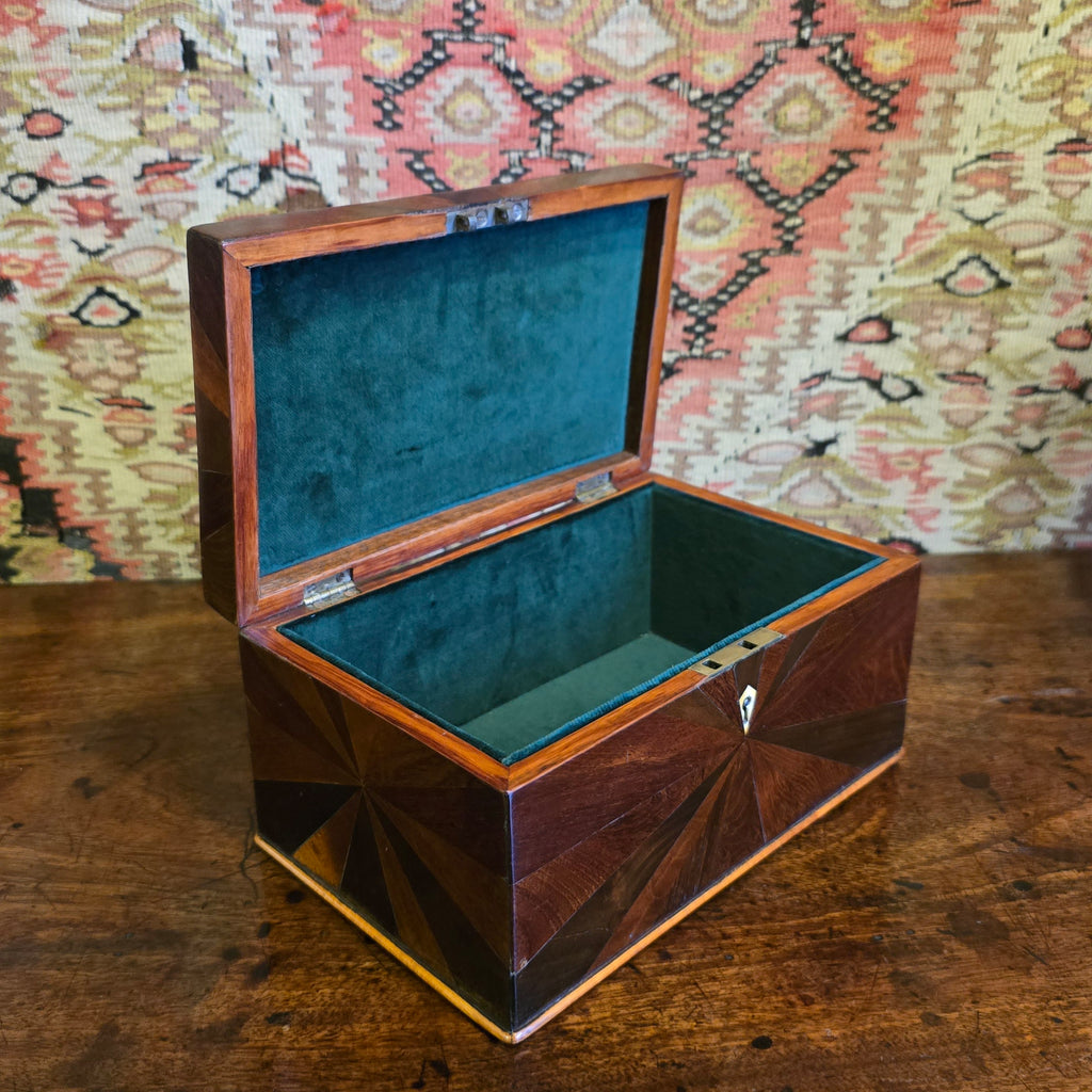 really-attractive-inlaid-19th-century-specimen-wood-box-banded-sunburst-design-bone-escutcheon-velvet-lined-trinket-box-excellent-condition-for-sale-damon-blandford-antiques-stow-on-the-wold-cotswolds