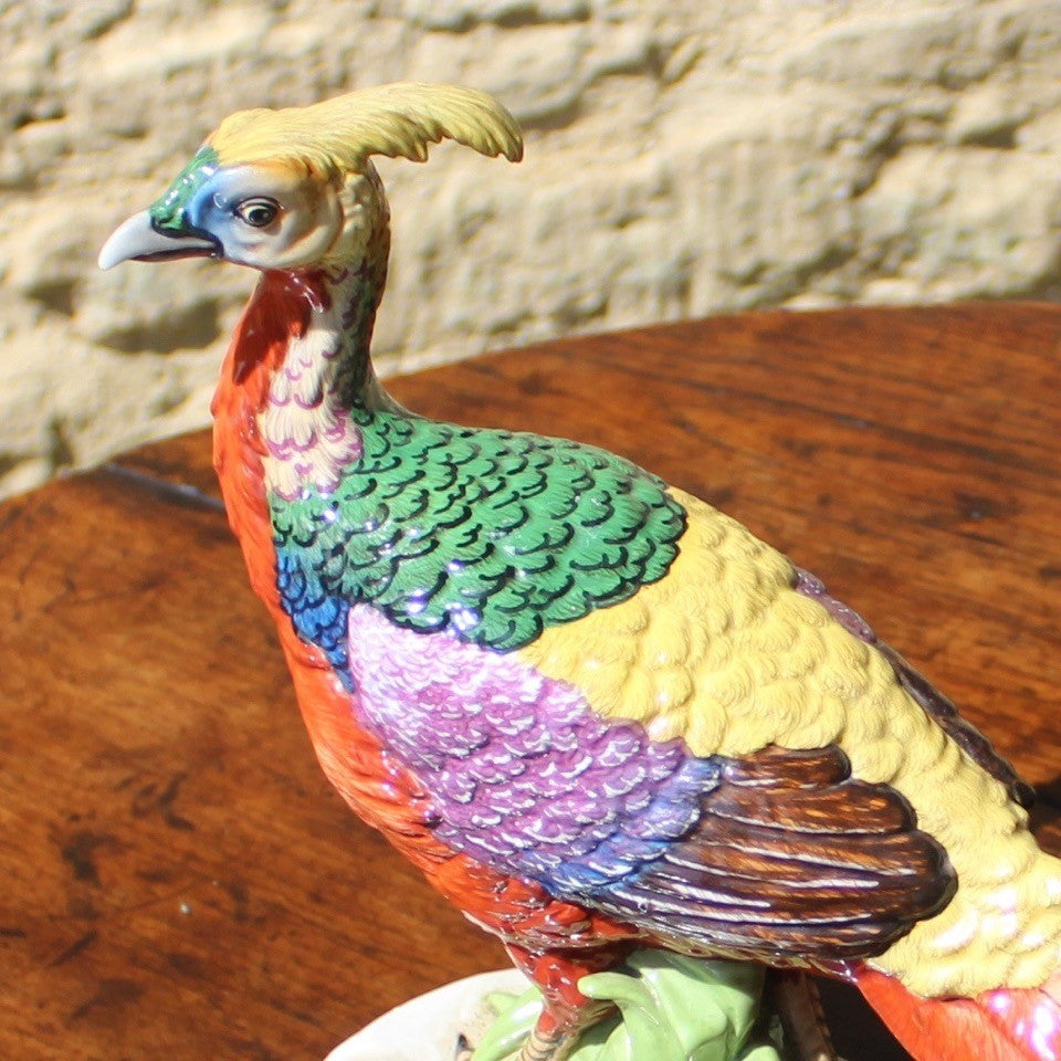 superb-porcelain-pheasant-1:2-scale-modelled-on-mature-golden-pheasant-alert-upright-natural-pose-beautifully-painted-porcelain-mottled-tail-feathers-particularly-well-painted-marked-to-underside-base-letter-M-possibly-KPM Berlin-germany-for-sale-damon-blandford-antiques-stroud-stow-on-the-wold-cotswolds-interior-decoration-ceramic-pottery