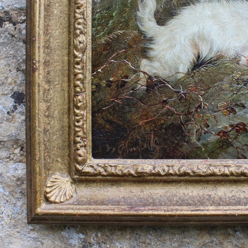 very-fine-oil-on-canvas-painting-three-terriers-rabbiting-highland-landscape-gilt-frame-dogs-expressions-terriers-faces-rabbit-hole-wonderful-George-Armfield-exceptional-hand-terriers-framed-dried-bracken-foreground-hills-in-distance-painting-excellent-use-of-light-for-sale-damon-blandford-antiques-art-stow-on-the-wold-stroud-cotswolds