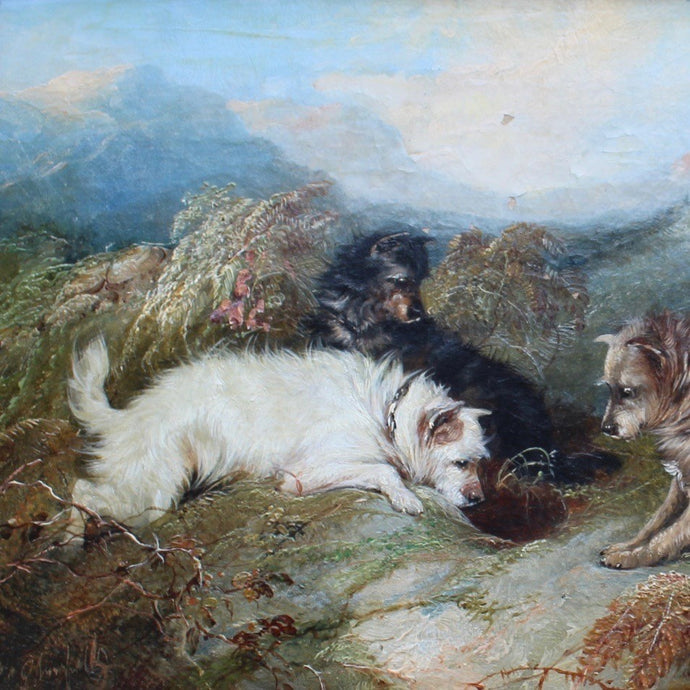very-fine-oil-on-canvas-painting-three-terriers-rabbiting-highland-landscape-gilt-frame-dogs-expressions-terriers-faces-rabbit-hole-wonderful-George-Armfield-exceptional-hand-terriers-framed-dried-bracken-foreground-hills-in-distance-painting-excellent-use-of-light-for-sale-damon-blandford-antiques-art-stow-on-the-wold-stroud-cotswolds