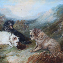 Load image into Gallery viewer, very-fine-oil-on-canvas-painting-three-terriers-rabbiting-highland-landscape-gilt-frame-dogs-expressions-terriers-faces-rabbit-hole-wonderful-George-Armfield-exceptional-hand-terriers-framed-dried-bracken-foreground-hills-in-distance-painting-excellent-use-of-light-for-sale-damon-blandford-antiques-art-stow-on-the-wold-stroud-cotswolds
