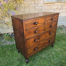 Load image into Gallery viewer, good-Regency-period-two-part-mahogany-campaign-chest-two short-three-long-graduated-drawers-excellent-quality-well-figured-timbers-wonderful-colour-patination-reeded-top-mahogany-lined-drawers-moulded-fronts-turned-wooden-drawer-pulls-feet-original-locks-brass-escutcheons-restricted-access-easy-to-move-for-sale-travel-furniture-antique-damon-blandford-antiques-stow-on-the-wold-stroud-cotswolds
