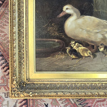 Load image into Gallery viewer, pair-two-delightful-19th-century-victorian-oil-paintings-on-canvas-artist-Robert-Cleminson-scenes-nature-rural-mother-hen-chicks-mother-duck-ducklings-beautifully-painted-signed-excellent-condition-mounted-good-quality-gilt-frames-provenance-for-sale-damon-blandford-antiques-stow-on-the-wold-fine-art-wall-art-decoration-interior-design
