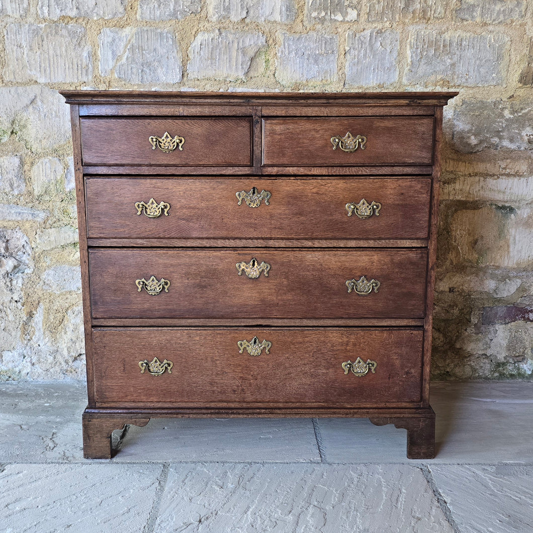 good-late-18th-century-oak-chest-of-drawers-constructed-from-well-figured-timbers-two-short-three-long-graduated-drawers-ovolo-moulding-original-brass-drop-handles-bracket-feet-good-colour-excellent-restored-condition-for-sale-damon-blandford-antiques-stroud-cotswolds-antique-furniture-storage
