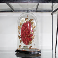 Load image into Gallery viewer, dome-french-mariee-de-pressed-metal-gilt-dove-mirror-foliate-velvet-marriage-cussion-red-gloucestershire-black-lacquer
