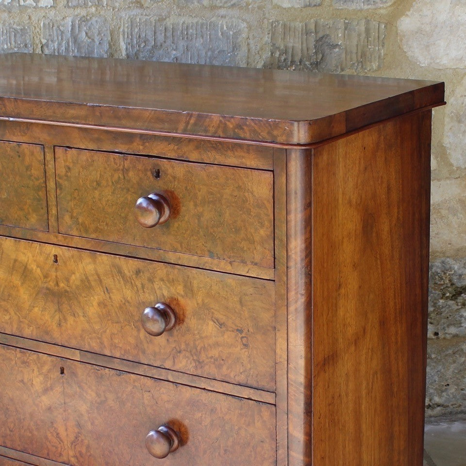 beautifully-figured-burr-walnut-chest-two-short-over-three-long-graduated-drawers-original-turned-walnut-drawer-pulls-very-well-proportioned-straight-fronted-chest-raised-plinth-base-bun-feet-retaining-original-locks-book matched-veneers-particularly-good-very-functional-highly-decorative-storage-furniture-damon-blandford-antiques-stroud-gloucestershire-cotswolds-interior-country-house-quality-for-sale