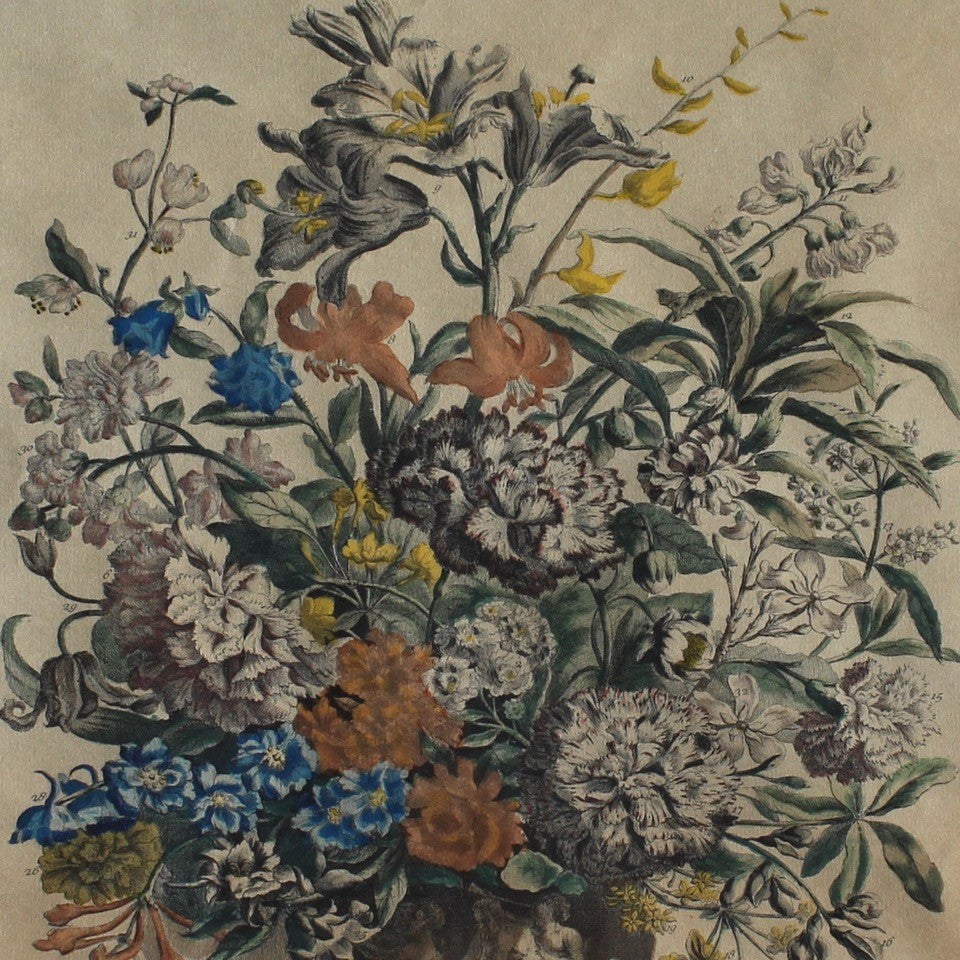 Original-williamsburg-restoration-hand-tinted-print-original-painting-peter-casteels-copper-engraving-by-henry-fletcher-works-commissioned by-robert-furber-market-gardener-kensington-series-paintings-twelve-months-of-flowers-urn-of-flowers-furber-nursery-seasonal-best-numbered-referenced-within-engraving-dated-1730-excellent-condition-colour-framed-good-quality-ebonised-parcel-gilt-frame-new-mount-board-wall-art-damon-blandford-antiques
