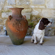 Load image into Gallery viewer, chinese-urn-terracotta-large-dragon-garden-vintage-gloucestershire-dog-spaniel
